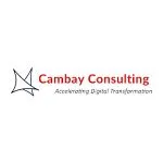 Cambay Consulting