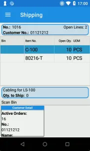 Customer Detail Shipping