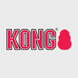 KONG Increases Inventory Accuracy and Realizes Multiple Benefits-1