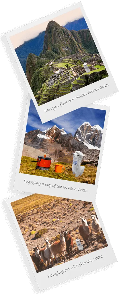 Logistics Llama vertical polaroids