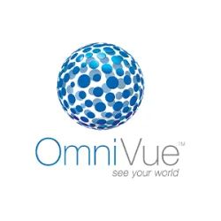 OmniVue Business Solutions LLC