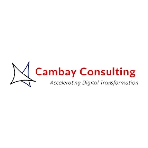 Cambay Consulting